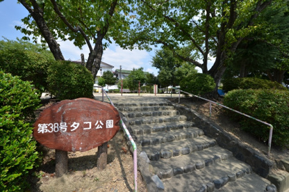 タコ公園の画像1