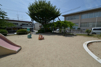 タコ公園の画像4