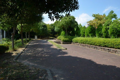 移瀬第1公園の画像4