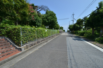 移瀬第3公園の画像4