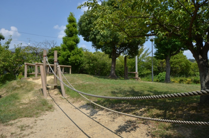 奥池公園の画像4