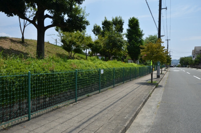 奥池公園の画像5