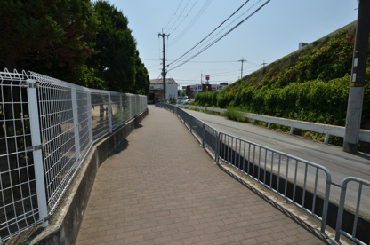 下加茂公園の画像5