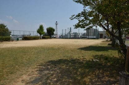 霞ヶ丘公園の画像2