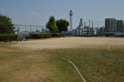 霞ヶ丘公園の画像4