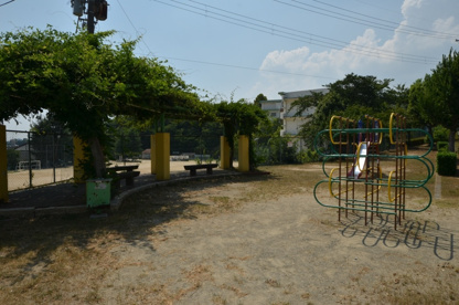 霞ヶ丘公園の画像5