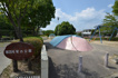 蛍の公園の画像