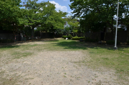 桜の公園の画像3