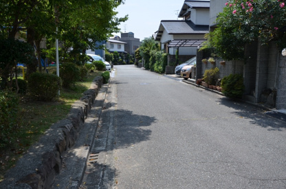 桜の公園の画像5