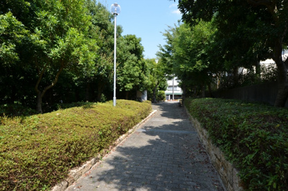 水明台第８公園の画像4
