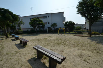 馬入公園の画像3