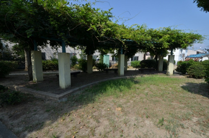 馬入公園の画像4