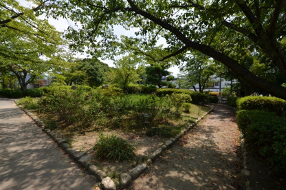 白鳥公園の画像2