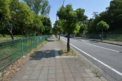 緑台公園の画像5