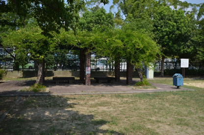 枡塚公園の画像3