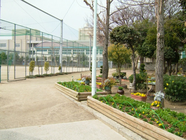 高田公園の画像1