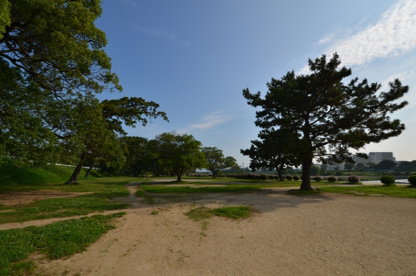 武庫川河川敷緑地の画像4