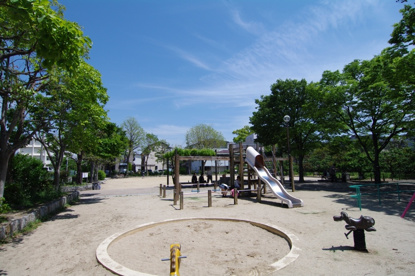 梅の木公園の画像2