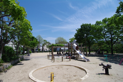 梅の木公園の画像3