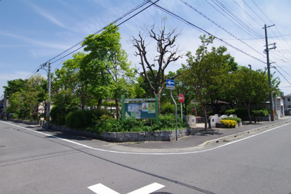 梅の木公園の画像4