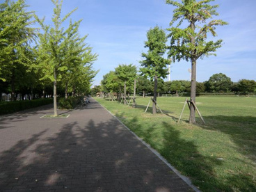 小田南公園の画像3