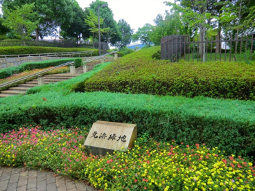 元浜緑地の画像5