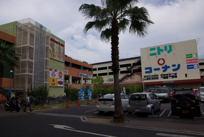 アマドゥの画像2