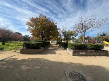 椀田公園の画像2