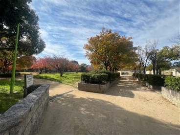 椀田公園の画像3