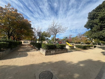 椀田公園の画像4