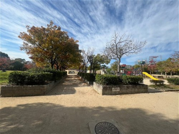 椀田公園の画像5