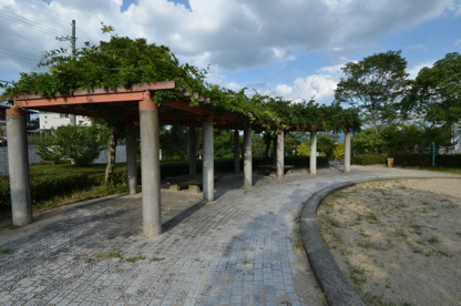 けやき坂中央公園の画像2