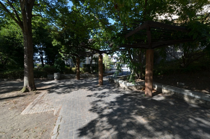 北ひばりが丘公園の画像1