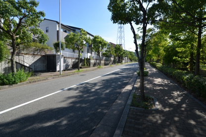 北ひばりが丘公園の画像5