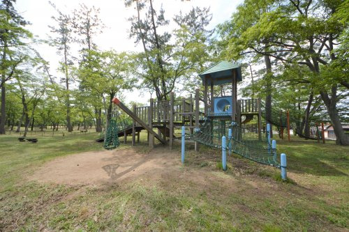 高坂公園