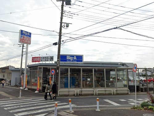 ビッグ・エー 松戸松飛台店