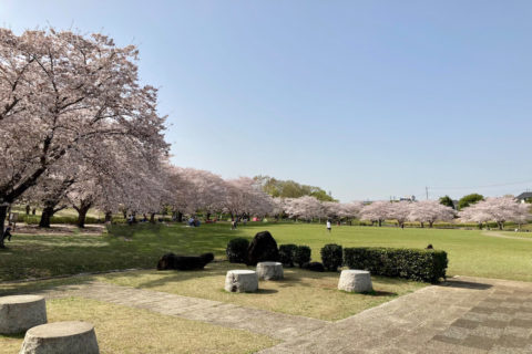絹の台桜公園