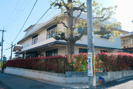 洛陽保育園