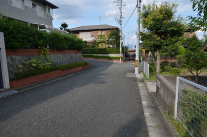 クスノキ公園の画像5