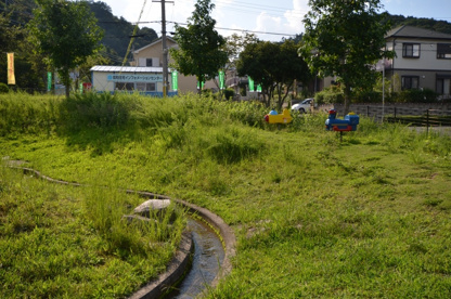 ケヤキ公園の画像3