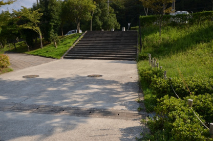 ケヤキ公園の画像4