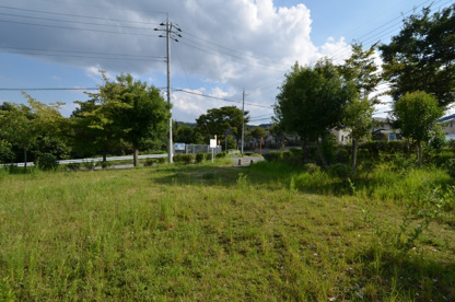 コブシ公園の画像3