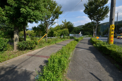 コブシ公園の画像5