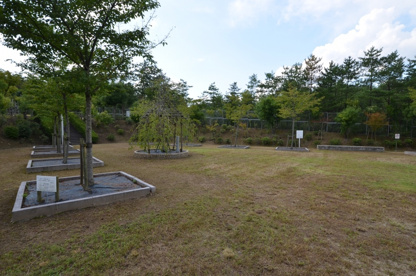 シラカシ公園の画像3
