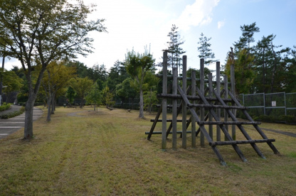 シラカシ公園の画像4
