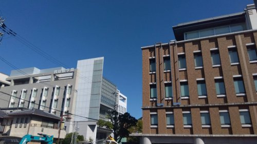 幼稚園型認定こども園四條畷学園大学附属幼稚園