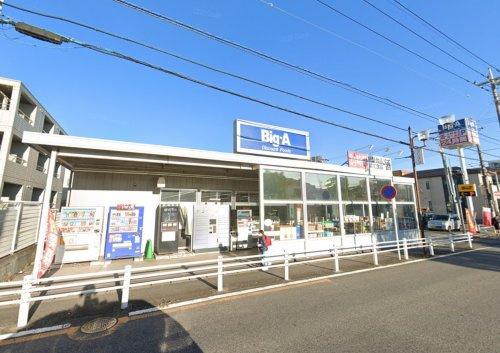 ビッグ・エー 柏中央店