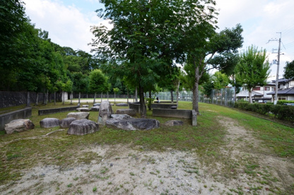 トウカエデ公園の画像2