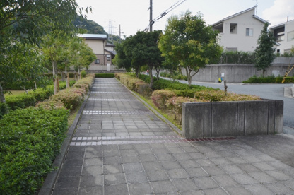 ハナノキ公園の画像4