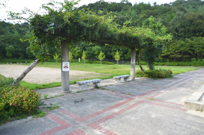 ムクゲ公園の画像4